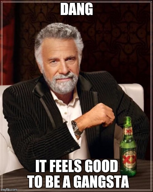 Clean version just because | DANG; IT FEELS GOOD TO BE A GANGSTA | image tagged in memes,the most interesting man in the world,clean | made w/ Imgflip meme maker