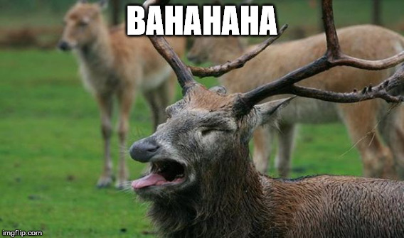 BAHAHAHA | made w/ Imgflip meme maker