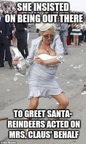 Drunk woman | SHE INSISTED ON BEING OUT THERE TO GREET SANTA- REINDEERS ACTED ON MRS. CLAUS' BEHALF | image tagged in drunk woman | made w/ Imgflip meme maker