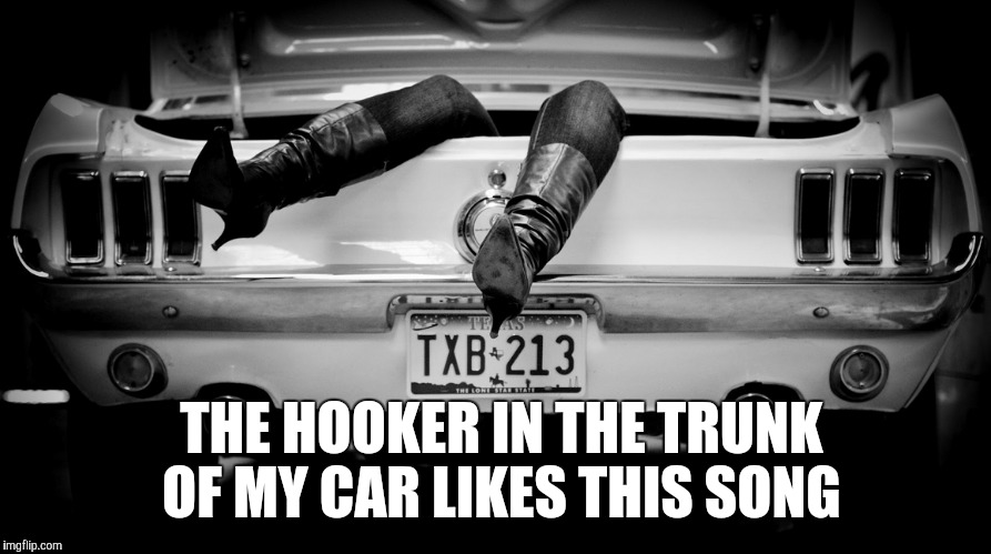 The Hooker in the Trunk of My Car | THE HOOKER IN THE TRUNK OF MY CAR LIKES THIS SONG | image tagged in the hooker in the trunk of my car | made w/ Imgflip meme maker