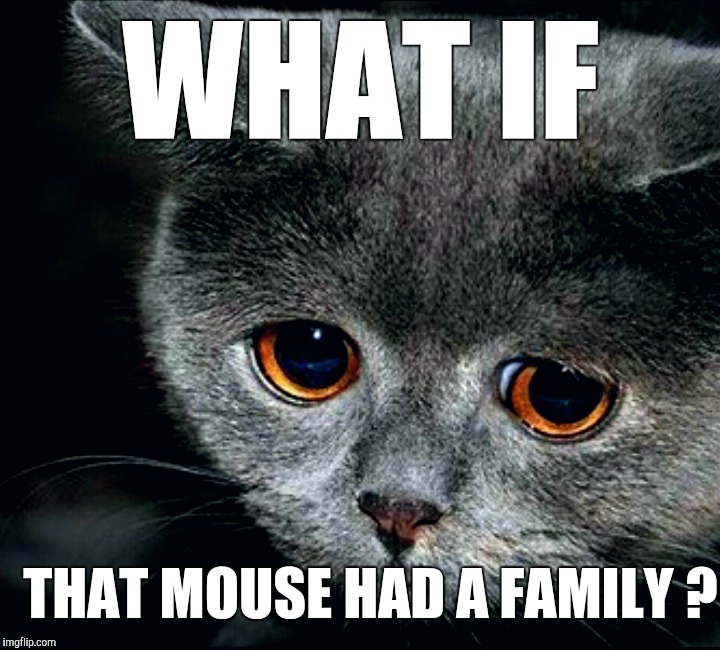 Regretful Cat | WHAT IF; THAT MOUSE HAD A FAMILY ? | image tagged in cat | made w/ Imgflip meme maker