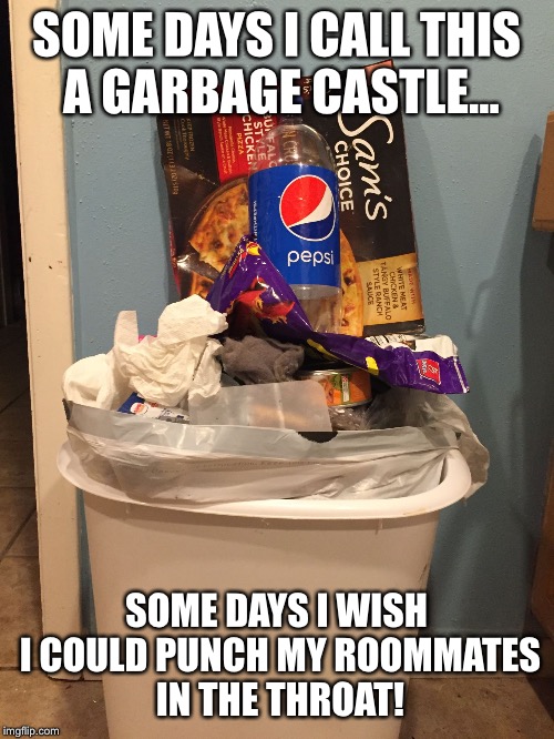 Garbage Castle | SOME DAYS I CALL THIS A GARBAGE CASTLE... SOME DAYS I WISH I COULD PUNCH MY ROOMMATES IN THE THROAT! | image tagged in garbage castle | made w/ Imgflip meme maker