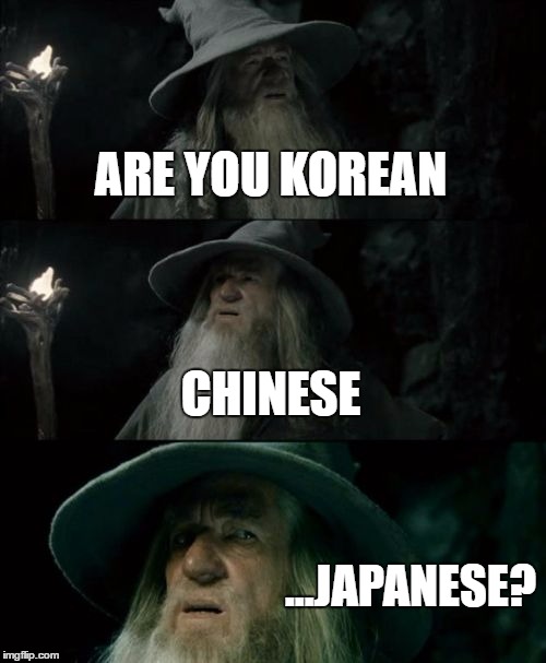 Confused Gandalf Meme | ARE YOU KOREAN; CHINESE; ...JAPANESE? | image tagged in memes,confused gandalf | made w/ Imgflip meme maker