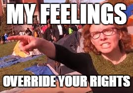 sjw | MY FEELINGS; OVERRIDE YOUR RIGHTS | image tagged in sjw | made w/ Imgflip meme maker