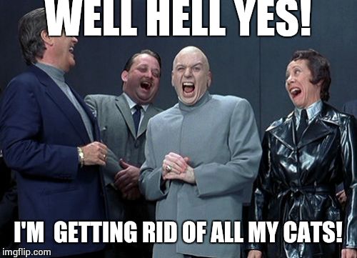 Laughing Villains | WELL HELL YES! I'M  GETTING RID OF ALL MY CATS! | image tagged in memes,laughing villains | made w/ Imgflip meme maker