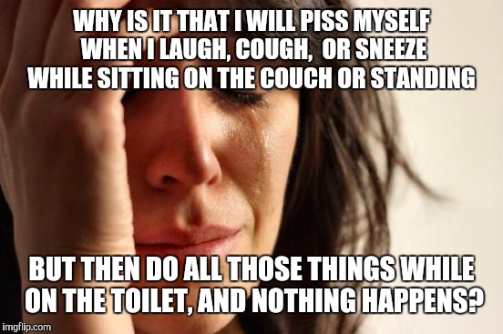 First World Problems | WHY IS IT THAT I WILL PISS MYSELF WHEN I LAUGH, COUGH,  OR SNEEZE WHILE SITTING ON THE COUCH OR STANDING; BUT THEN DO ALL THOSE THINGS WHILE ON THE TOILET, AND NOTHING HAPPENS? | image tagged in memes,first world problems | made w/ Imgflip meme maker
