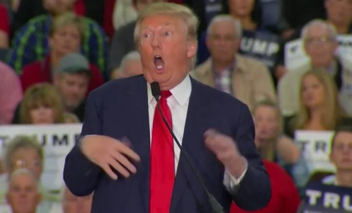 Donald Trump Mocking Disabled Blank Meme Template