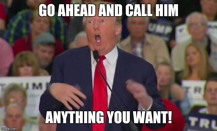 What do you call Donald Trump? |  GO AHEAD AND CALL HIM; ANYTHING YOU WANT! | image tagged in donald trump mocking disabled,donald trump,mocking,disabled,name calling,every name in the book | made w/ Imgflip meme maker
