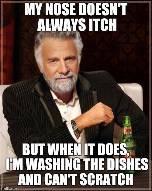 The Most Interesting Man In The World Meme | MY NOSE DOESN'T ALWAYS ITCH; BUT WHEN IT DOES, I'M WASHING THE DISHES AND CAN'T SCRATCH | image tagged in memes,the most interesting man in the world | made w/ Imgflip meme maker