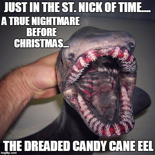 JUST IN THE ST. NICK OF TIME.... A TRUE NIGHTMARE BEFORE CHRISTMAS... THE DREADED CANDY CANE EEL | image tagged in just in time a nightmare before christmas | made w/ Imgflip meme maker