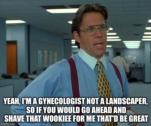 That Would Be Great Meme | YEAH, I'M A GYNECOLOGIST NOT A LANDSCAPER, SO IF YOU WOULD GO AHEAD AND SHAVE THAT WOOKIEE FOR ME THAT'D BE GREAT | image tagged in memes,that would be great | made w/ Imgflip meme maker