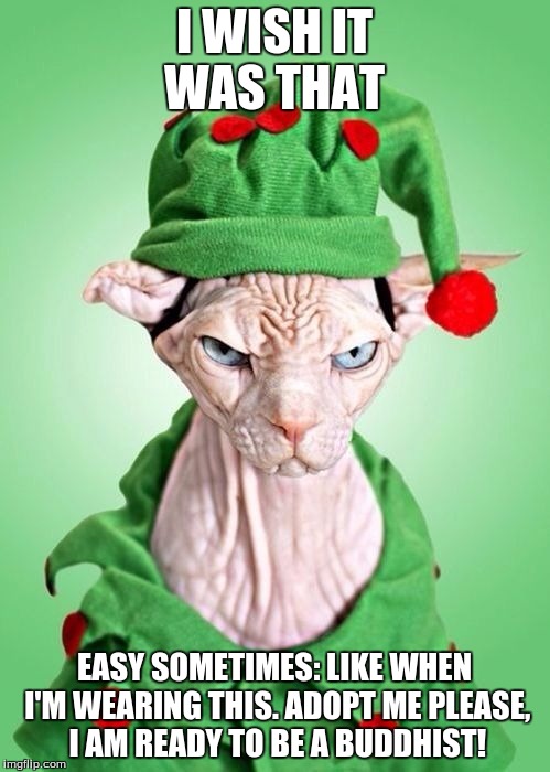 I WISH IT WAS THAT EASY SOMETIMES: LIKE WHEN I'M WEARING THIS. ADOPT ME PLEASE, I AM READY TO BE A BUDDHIST! | image tagged in feline grinch | made w/ Imgflip meme maker