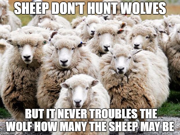 Sheeps | SHEEP DON'T HUNT WOLVES; BUT IT NEVER TROUBLES THE WOLF HOW MANY THE SHEEP MAY BE | image tagged in sheeps | made w/ Imgflip meme maker