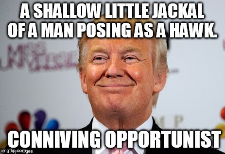 Donald trump approves | A SHALLOW LITTLE JACKAL OF A MAN POSING AS A HAWK. CONNIVING OPPORTUNIST | image tagged in donald trump approves | made w/ Imgflip meme maker
