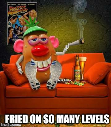 A whole New meaning to baked not fried | FRIED ON SO MANY LEVELS | image tagged in memes,420 blaze it,mr potato head,chill | made w/ Imgflip meme maker