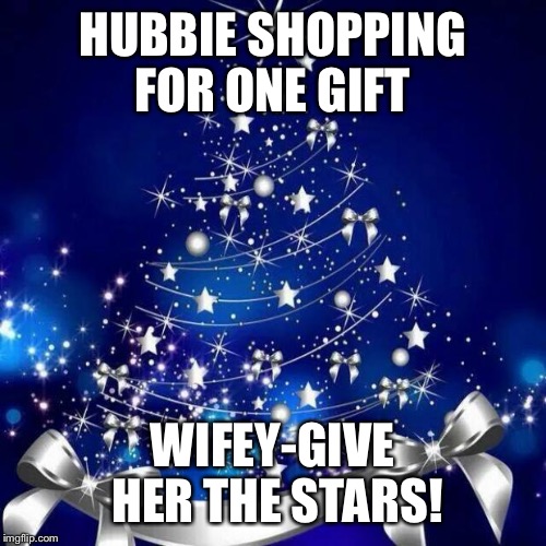 Merry Christmas  | HUBBIE SHOPPING FOR ONE GIFT; WIFEY-GIVE HER THE STARS! | image tagged in merry christmas | made w/ Imgflip meme maker