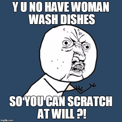 Y U No Meme | Y U NO HAVE WOMAN WASH DISHES SO YOU CAN SCRATCH AT WILL ?! | image tagged in memes,y u no | made w/ Imgflip meme maker