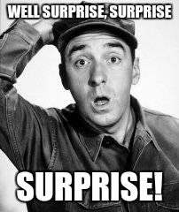 Gomer Pyle | WELL SURPRISE, SURPRISE SURPRISE! | image tagged in surprise,shocked face,muslim terror | made w/ Imgflip meme maker