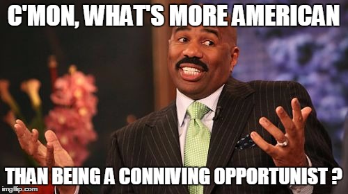 Steve Harvey Meme | C'MON, WHAT'S MORE AMERICAN THAN BEING A CONNIVING OPPORTUNIST ? | image tagged in memes,steve harvey | made w/ Imgflip meme maker