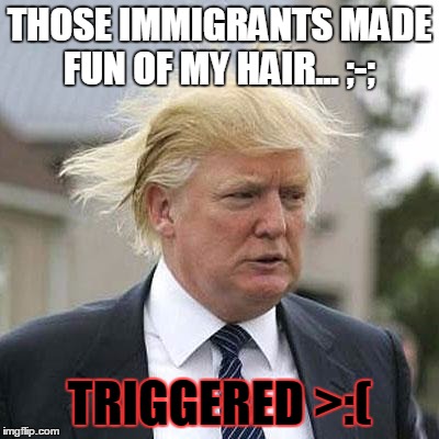 Donald Trump | THOSE IMMIGRANTS MADE FUN OF MY HAIR... ;-;; TRIGGERED >:( | image tagged in donald trump | made w/ Imgflip meme maker