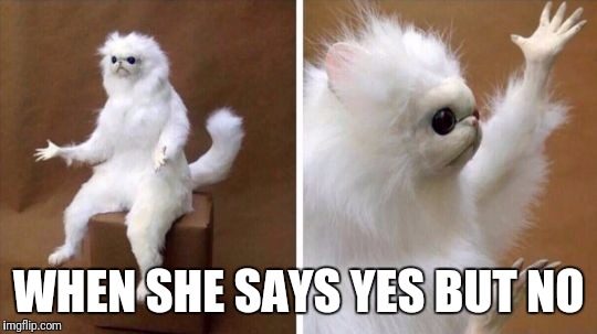 Wtf Cat | WHEN SHE SAYS YES BUT NO | image tagged in wtf cat | made w/ Imgflip meme maker
