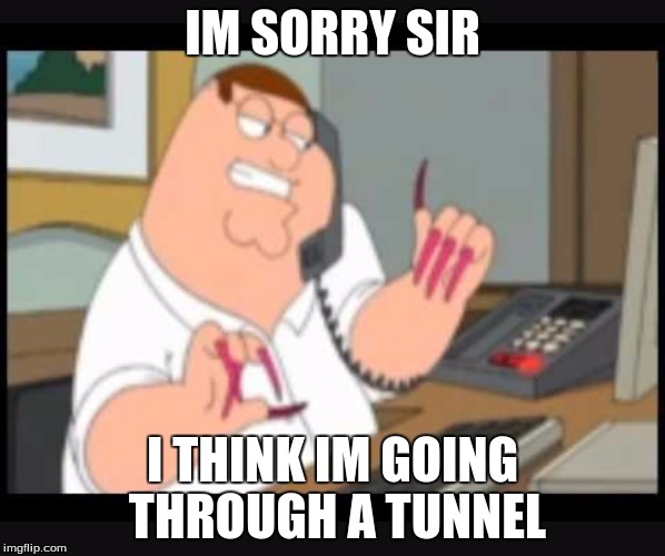 Peter Griffin on phone | IM SORRY SIR; I THINK IM GOING THROUGH A TUNNEL | image tagged in peter griffin on phone | made w/ Imgflip meme maker