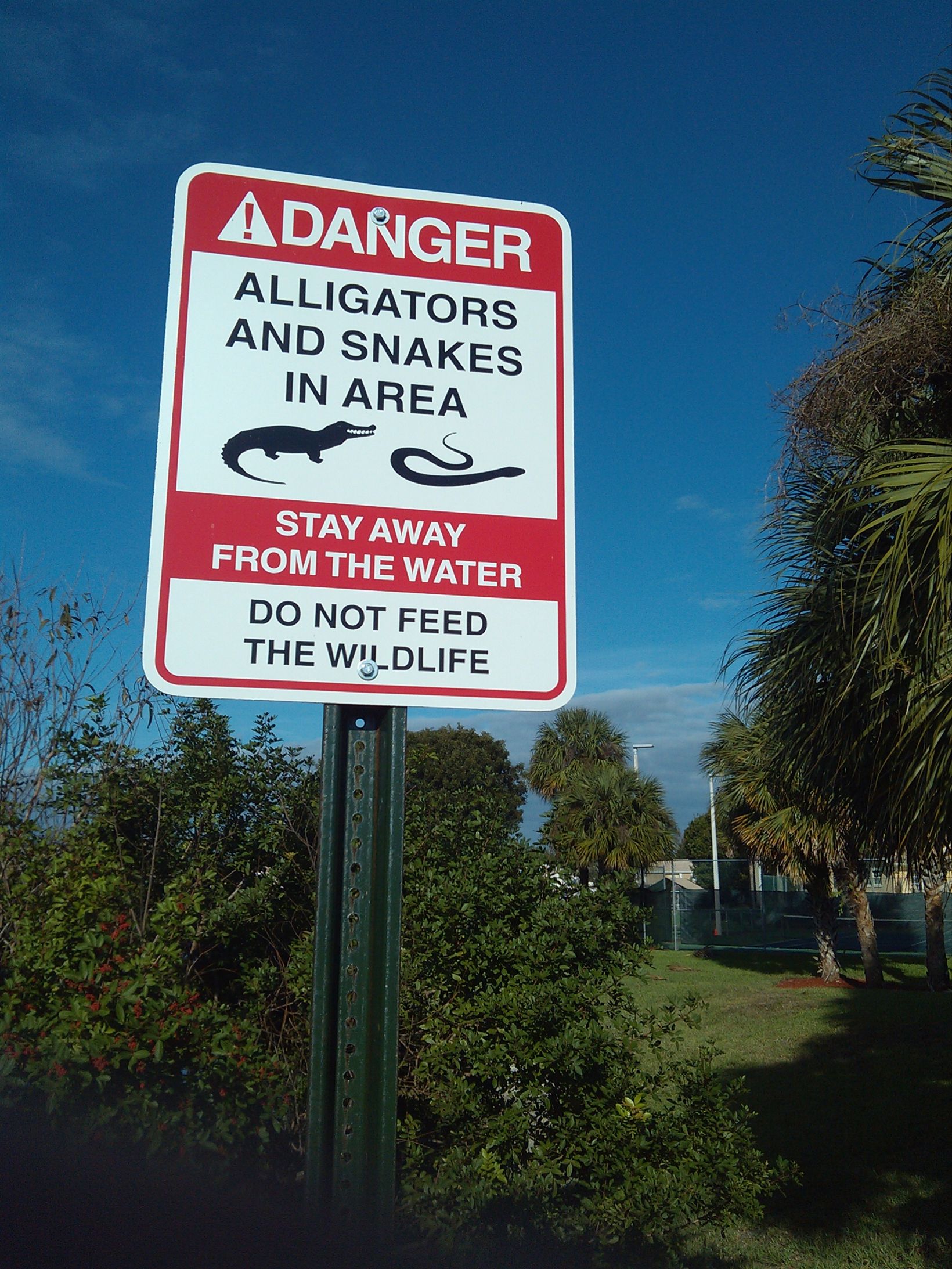 Do Not Feed the Gators Blank Meme Template
