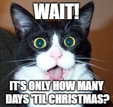 Surprised Cat | WAIT! IT'S ONLY HOW MANY DAYS 'TIL CHRISTMAS? | image tagged in surprised cat | made w/ Imgflip meme maker