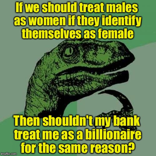 Philosoraptor Meme | If we should treat males as women if they identify themselves as female; Then shouldn't my bank treat me as a billionaire for the same reason? | image tagged in memes,philosoraptor | made w/ Imgflip meme maker