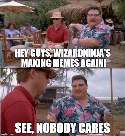 When you haven't been on imgflip in months... | HEY GUYS, WIZARDNINJA'S MAKING MEMES AGAIN! SEE, NOBODY CARES | image tagged in memes,see nobody cares,funny | made w/ Imgflip meme maker