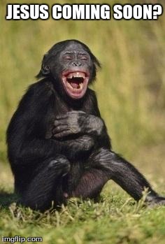 Laughing monkey | JESUS COMING SOON? | image tagged in laughing monkey | made w/ Imgflip meme maker