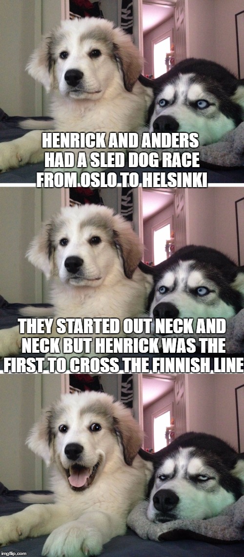 bad pun sled dog | HENRICK AND ANDERS HAD A SLED DOG RACE FROM OSLO TO HELSINKI; THEY STARTED OUT NECK AND NECK BUT HENRICK WAS THE FIRST TO CROSS THE FINNISH LINE | image tagged in bad pun dogs,memes,bad pun,sledding,finland,norway | made w/ Imgflip meme maker