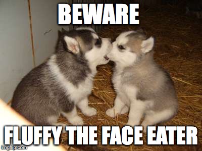Cute Puppies | BEWARE; FLUFFY THE FACE EATER | image tagged in memes,cute puppies | made w/ Imgflip meme maker