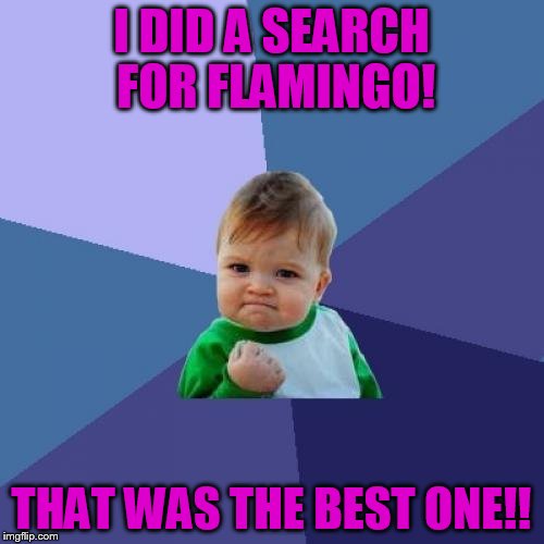 Success Kid Meme | I DID A SEARCH FOR FLAMINGO! THAT WAS THE BEST ONE!! | image tagged in memes,success kid | made w/ Imgflip meme maker