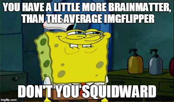 YOU HAVE A LITTLE MORE BRAINMATTER, THAN THE AVERAGE IMGFLIPPER DON'T YOU SQUIDWARD | made w/ Imgflip meme maker