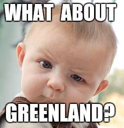 Skeptical Baby Meme | WHAT  ABOUT GREENLAND? | image tagged in memes,skeptical baby | made w/ Imgflip meme maker