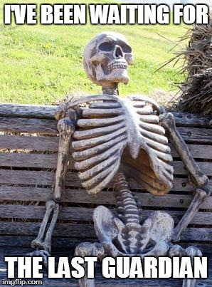 Waiting Skeleton Meme | I'VE BEEN WAITING FOR; THE LAST GUARDIAN | image tagged in memes,waiting skeleton | made w/ Imgflip meme maker