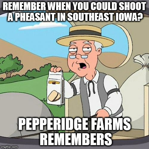 Pepperidge Farm Remembers Meme | REMEMBER WHEN YOU COULD SHOOT A PHEASANT IN SOUTHEAST IOWA? PEPPERIDGE FARMS REMEMBERS | image tagged in memes,pepperidge farm remembers | made w/ Imgflip meme maker