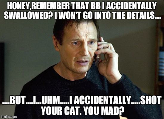 Liam Neeson Taken 2 Meme | HONEY,REMEMBER THAT BB I ACCIDENTALLY SWALLOWED? I WON'T GO INTO THE DETAILS.... ....BUT....I...UHM.....I ACCIDENTALLY.....SHOT YOUR CAT. YOU MAD? | image tagged in memes,liam neeson taken 2 | made w/ Imgflip meme maker