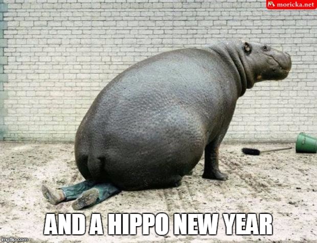 AND A HIPPO NEW YEAR | made w/ Imgflip meme maker