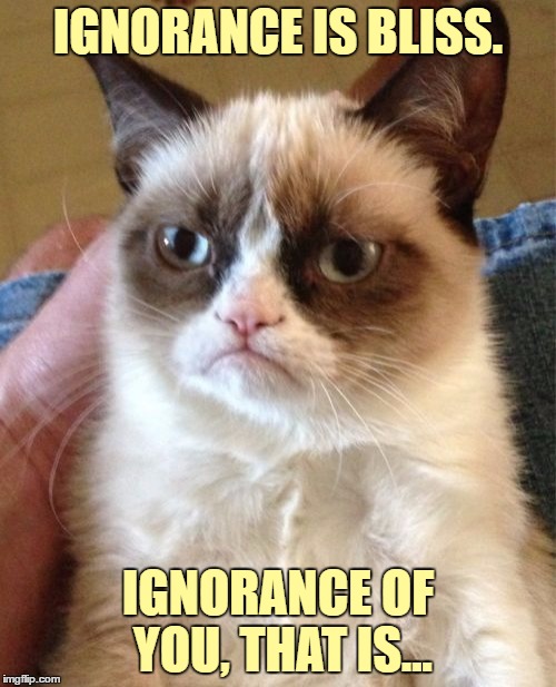 Grumpy Cat Meme | IGNORANCE IS BLISS. IGNORANCE OF YOU, THAT IS... | image tagged in memes,grumpy cat | made w/ Imgflip meme maker