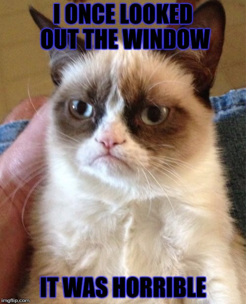 Grumpy Cat | I ONCE LOOKED OUT THE WINDOW; IT WAS HORRIBLE | image tagged in memes,grumpy cat | made w/ Imgflip meme maker