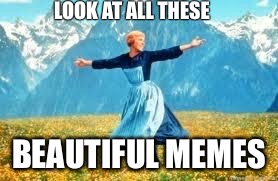 Look At All These Meme |  LOOK AT ALL THESE; BEAUTIFUL MEMES | image tagged in memes,look at all these | made w/ Imgflip meme maker