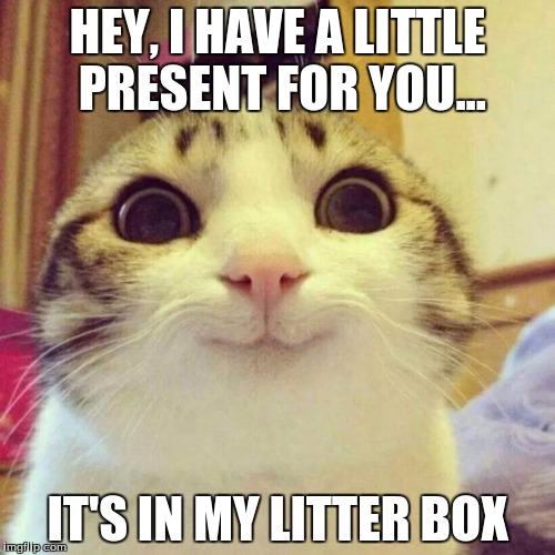 a little present | HEY, I HAVE A LITTLE PRESENT FOR YOU... IT'S IN MY LITTER BOX | image tagged in memes,smiling cat | made w/ Imgflip meme maker