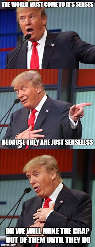 Bad Pun Trump | THE WORLD MUST COME TO IT'S SENSES; BECAUSE THEY ARE JUST SENSELESS; OR WE WILL NUKE THE CRAP OUT OF THEM UNTIL THEY DO | image tagged in bad pun trump | made w/ Imgflip meme maker