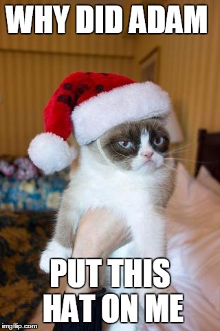 Grumpy Cat Christmas | WHY DID ADAM; PUT THIS HAT ON ME | image tagged in memes,grumpy cat christmas,grumpy cat | made w/ Imgflip meme maker