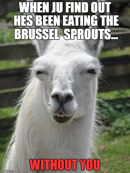Llama glare | WHEN JU FIND OUT HES BEEN EATING THE BRUSSEL  SPROUTS... WITHOUT YOU | image tagged in llama glare | made w/ Imgflip meme maker