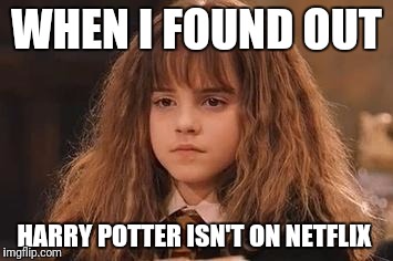 I'm not amused. At all.  | WHEN I FOUND OUT; HARRY POTTER ISN'T ON NETFLIX | image tagged in harry potter - miss granger is not amused | made w/ Imgflip meme maker