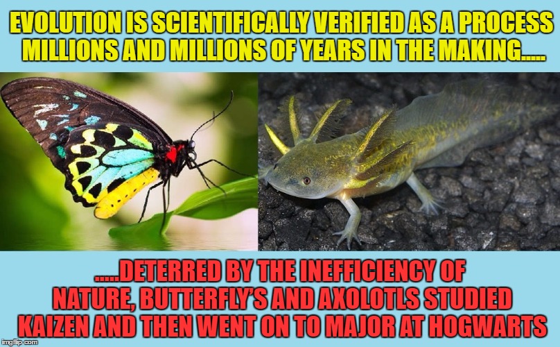 EVOLUTION IS SCIENTIFICALLY VERIFIED AS A PROCESS MILLIONS AND MILLIONS OF YEARS IN THE MAKING..... .....DETERRED BY THE INEFFICIENCY OF NATURE, BUTTERFLY’S AND AXOLOTLS STUDIED KAIZEN AND THEN WENT ON TO MAJOR AT HOGWARTS | image tagged in evolution,jesus christ | made w/ Imgflip meme maker