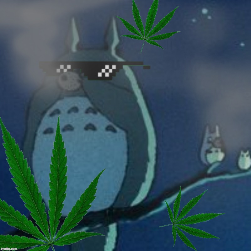 Totoro smokin that 420 (NSFW) | image tagged in 420,totoro,studio ghibli,dank,dank meme,nsfw | made w/ Imgflip meme maker